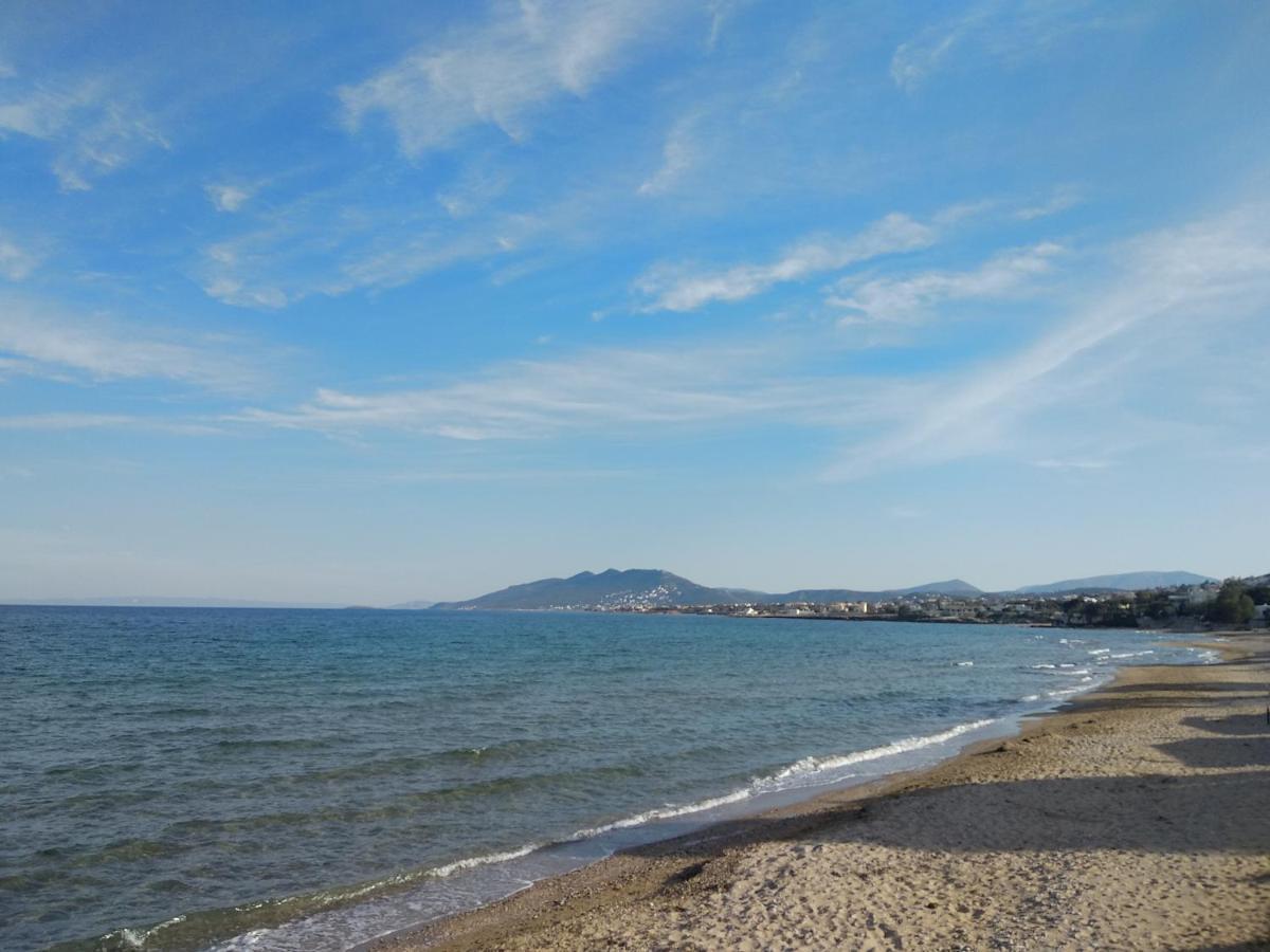 La Vita Apartments-Near Airport & Sea Artemida  Bagian luar foto