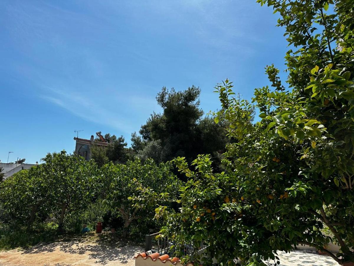 La Vita Apartments-Near Airport & Sea Artemida  Bagian luar foto